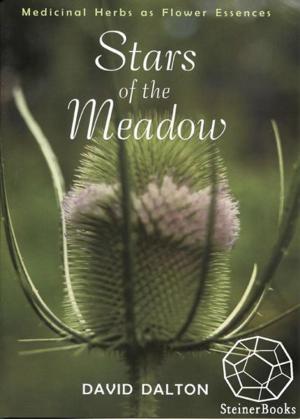 Cover of the book Stars of the Meadow: Medicinal Herbs As Flower Essences by Valentin Tomberg