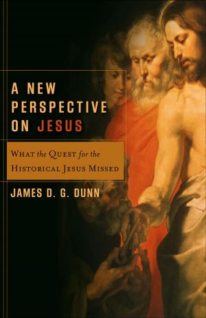 Cover of the book A New Perspective on Jesus (Acadia Studies in Bible and Theology) by Peb Jackson, James Lund
