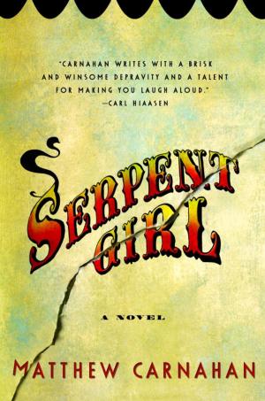 Cover of the book Serpent Girl by Stephen Woodworth
