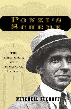 Cover of the book Ponzi's Scheme by Bill Halkett