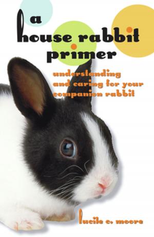 Cover of the book A House Rabbit Primer by Michelle Mazzulo