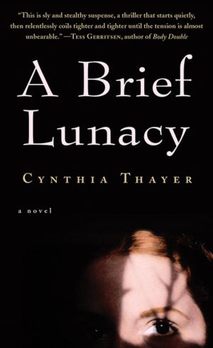 Cover of the book A Brief Lunacy by Lori Osterberg