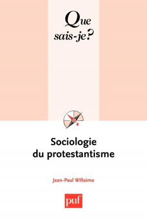 Cover of the book Sociologie du protestantisme by Marc Bru