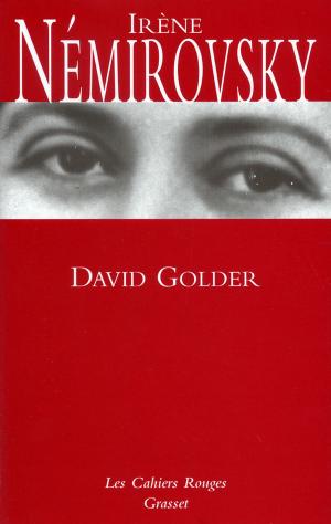 Cover of the book David Golder by Virginie Despentes