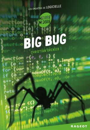 Cover of the book Big bug by Sophie Rigal-Goulard