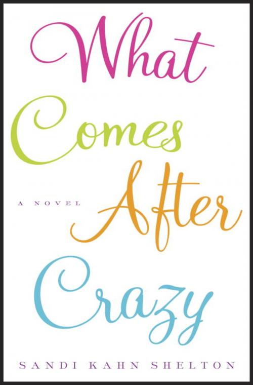 Cover of the book What Comes After Crazy by Sandi Kahn Shelton, Crown/Archetype