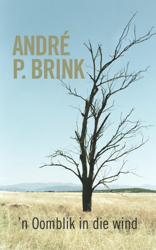 Cover of the book 'n Oomblik in die wind by André P. Brink, Human & Rousseau