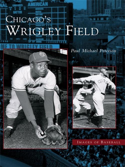 Cover of the book Chicago's Wrigley Field by Paul Michael Peterson, Arcadia Publishing Inc.