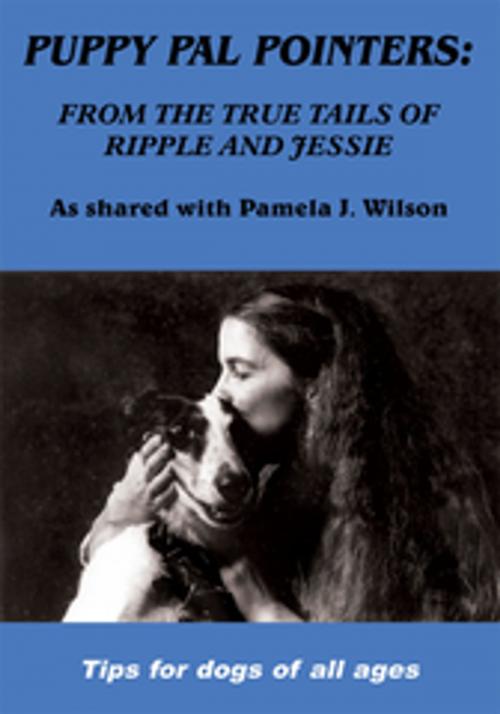 Cover of the book Puppy Pal Pointers by Pamela J. Wilson, AuthorHouse