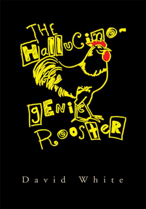 Cover of the book The Hallucinogenic Rooster by David White, Xlibris US