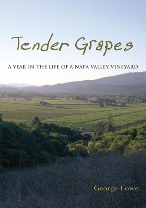 Cover of the book Tender Grapes by George Lowe, Xlibris US