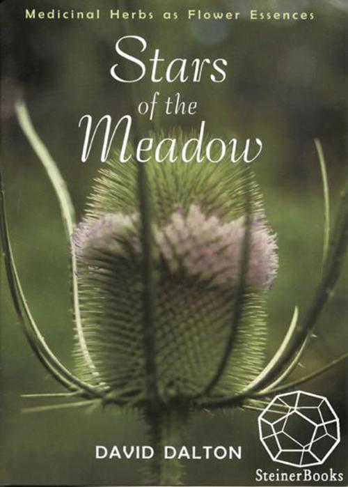 Cover of the book Stars of the Meadow: Medicinal Herbs As Flower Essences by David Dalton, Steinerbooks