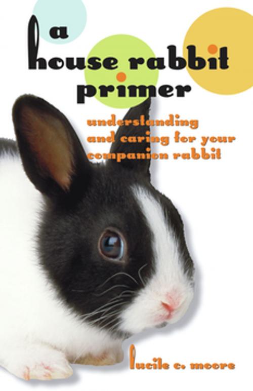 Cover of the book A House Rabbit Primer by Lucile C Moore, Santa Monica Press