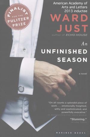 Cover of the book An Unfinished Season by Betty Crocker