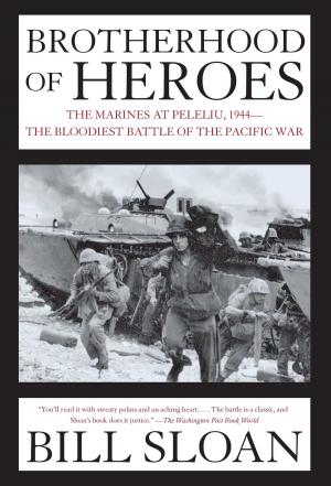 Cover of the book Brotherhood of Heroes by David Roberts