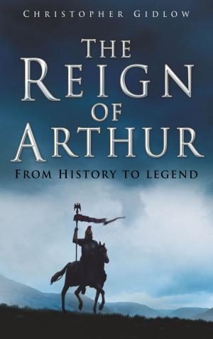 bigCover of the book Reign of Arthur by 