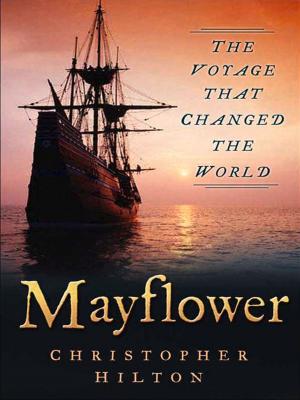 Cover of the book Mayflower by David Tremain
