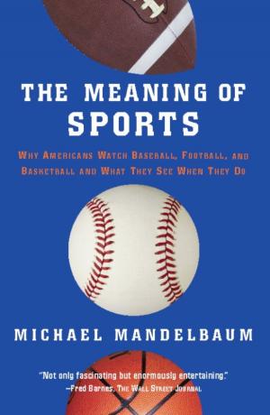 Cover of the book The Meaning Of Sports by Diana Meehan