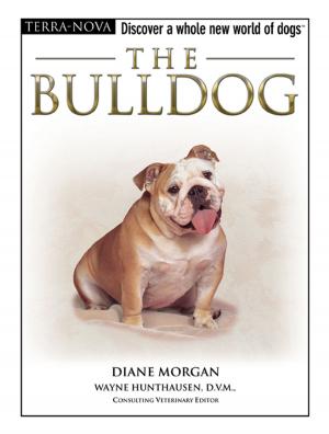 Cover of the book The Bulldog by Jean S. Mill