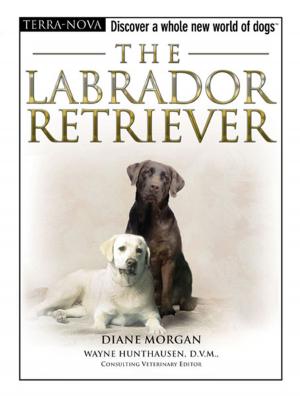 Cover of the book The Labrador Retriever by Michael R. Hellweg