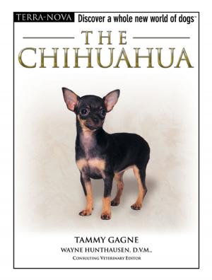 Cover of the book The Chihuahua by Rebecca K. O'Connor