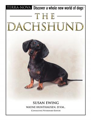Cover of the book The Dachshund by Neale Monks