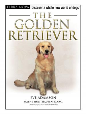 bigCover of the book The Golden Retriever by 
