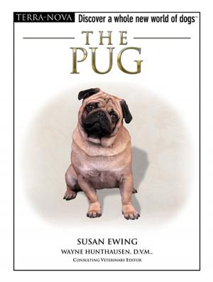 Cover of the book The Pug by Deborah Wood