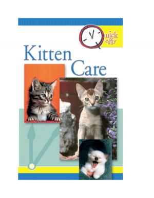 Book cover of Quick & Easy Kitten Care