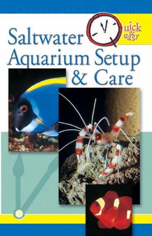 Book cover of Quick & Easy Saltwater Aquarium