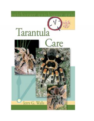 Cover of the book Quick & Easy Tarantula Care by Bill McKee