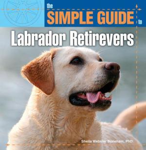 Book cover of The Simple Guide to Labrador Retrievers