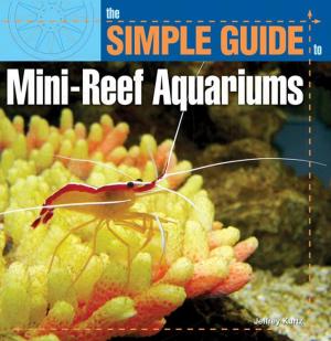 Cover of the book Simple Guide to Mini-Reef Aquariums by Bob Goemans, Lance Ichinotsubo