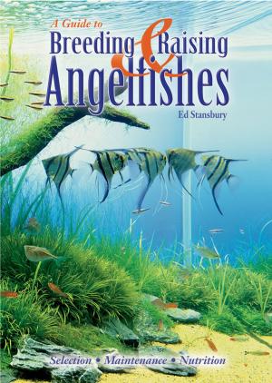 Cover of the book Breeding & Raising Angelfishes by Nancy W. Cortelyou
