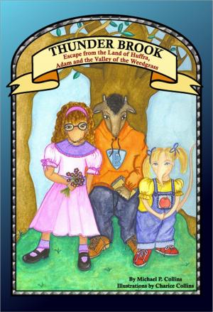 Book cover of Thunder Brook