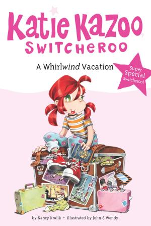 Cover of the book A Whirlwind Vacation by David A. Adler