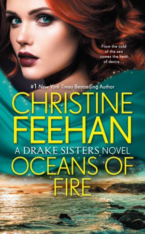 Cover of the book Oceans of Fire by DW Gibson