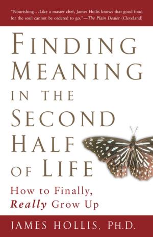 Cover of the book Finding Meaning in the Second Half of Life by PhD Barry Joel Kaplan