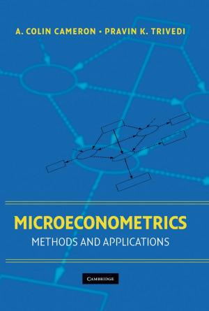 bigCover of the book Microeconometrics by 