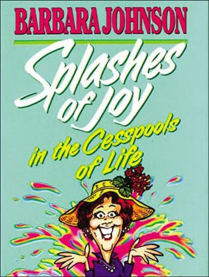 Cover of the book Splashes of Joy Mini Book by Jack Countryman, Terri Gibbs
