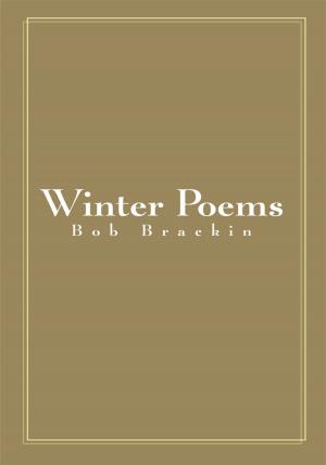 Cover of the book Winter Poems by Robin Summers