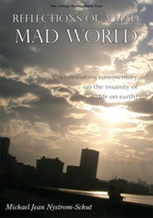Cover of the book Reflections of a Mad, Mad World by Robert E. Canright Jr.