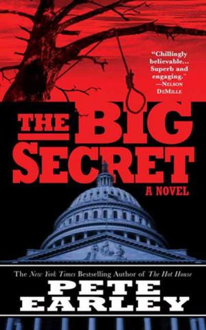 Cover of the book The Big Secret by Whitley Strieber