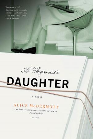 Cover of the book A Bigamist's Daughter by Ellen Wayland-Smith