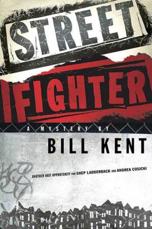 Cover of the book Street Fighter by Lorna Jane Cook