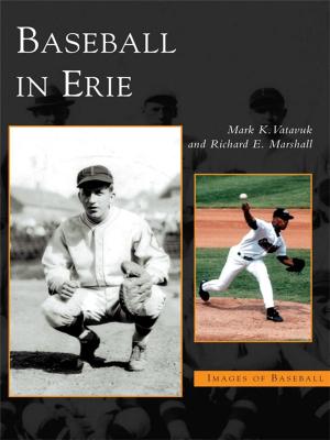 Cover of the book Baseball in Erie by Denise Hight, Steve Hight