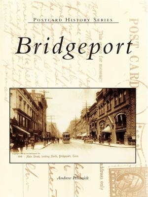 Cover of the book Bridgeport by Karen Kay Esberger