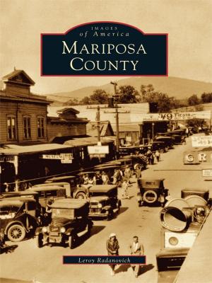 bigCover of the book Mariposa County by 