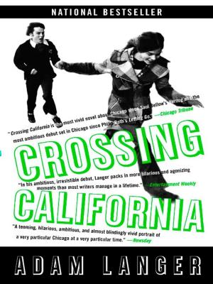 bigCover of the book Crossing California by 