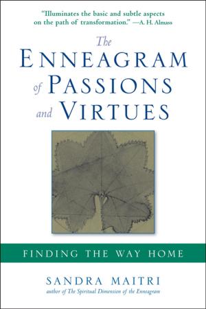 Book cover of The Enneagram of Passions and Virtues
